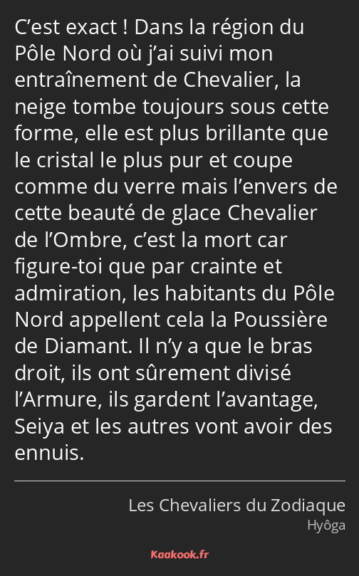 C’est exact ! Dans la région du Pôle Nord où j’ai suivi mon entraînement de Chevalier, la neige…