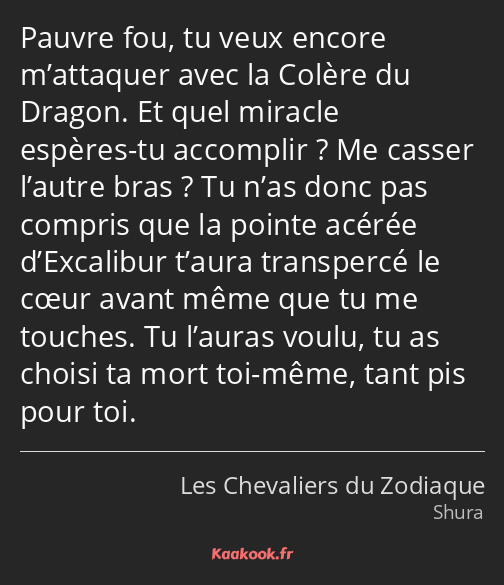 Pauvre fou, tu veux encore m’attaquer avec la Colère du Dragon. Et quel miracle espères-tu…