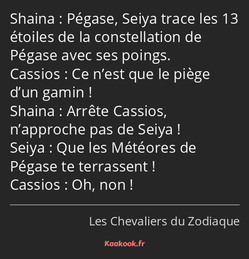 Pégase, Seiya trace les 13 étoiles de la constellation de Pégase avec ses poings. Ce n’est que le…