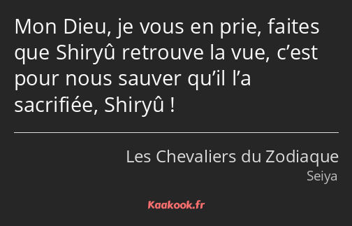 Mon Dieu, je vous en prie, faites que Shiryû retrouve la vue, c’est pour nous sauver qu’il l’a…