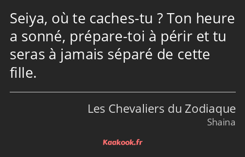 Seiya, où te caches-tu ? Ton heure a sonné, prépare-toi à périr et tu seras à jamais séparé de…