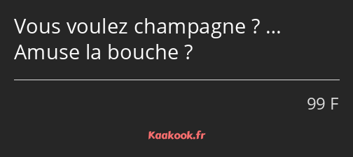 Vous voulez champagne ? … Amuse la bouche ?