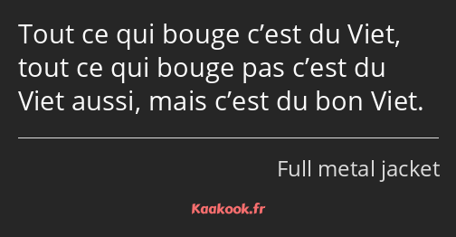 Tout ce qui bouge c’est du Viet, tout ce qui bouge pas c’est du Viet aussi, mais c’est du bon Viet.