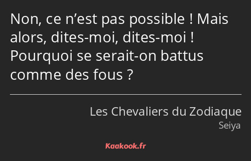 Non, ce n’est pas possible ! Mais alors, dites-moi, dites-moi ! Pourquoi se serait-on battus comme…