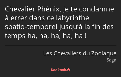Chevalier Phénix, je te condamne à errer dans ce labyrinthe spatio-temporel jusqu’à la fin des…