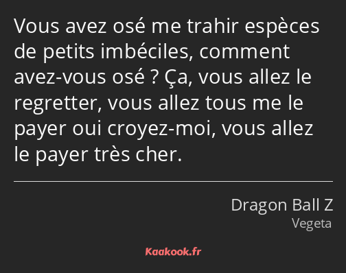 Vous avez osé me trahir espèces de petits imbéciles, comment avez-vous osé ? Ça, vous allez le…
