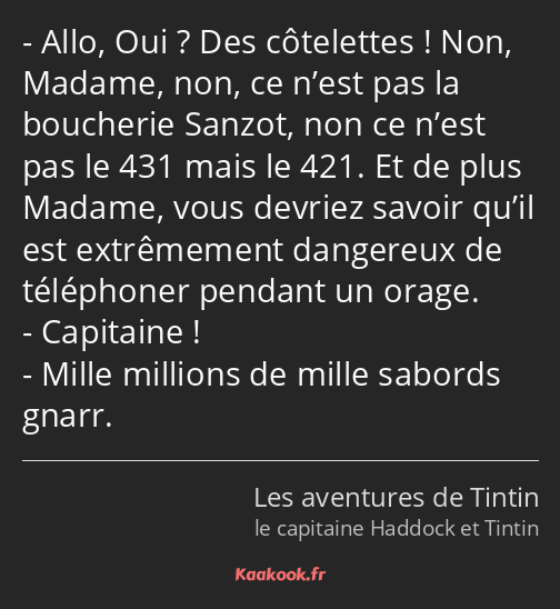 Allo, Oui ? Des côtelettes ! Non, Madame, non, ce n’est pas la boucherie Sanzot, non ce n’est pas…