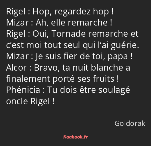 Hop, regardez hop ! Ah, elle remarche ! Oui, Tornade remarche et c’est moi tout seul qui l’ai…