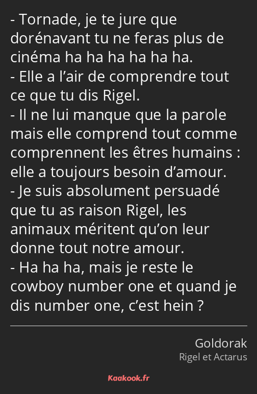 Tornade, je te jure que dorénavant tu ne feras plus de cinéma ha ha ha ha ha ha. Elle a l’air de…