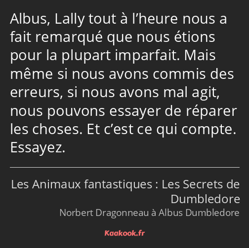 Albus, Lally tout à l’heure nous a fait remarqué que nous étions pour la plupart imparfait. Mais…