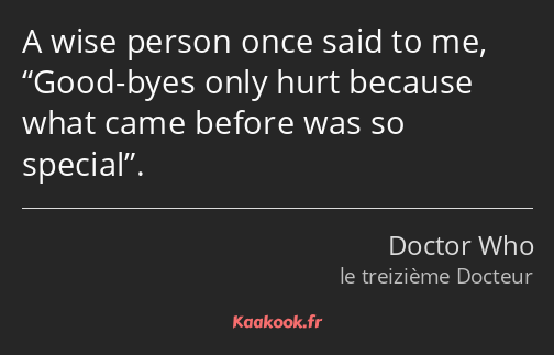 A wise person once said to me, Good-byes only hurt because what came before was so special.
