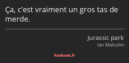 Ça, c’est vraiment un gros tas de merde.