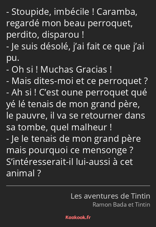 Stoupide, imbécile ! Caramba, regardé mon beau perroquet, perdito, disparou ! Je suis désolé, j’ai…