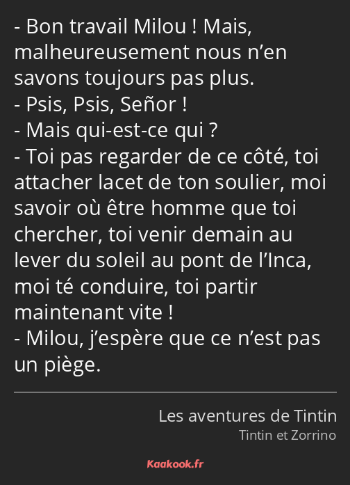 Bon travail Milou ! Mais, malheureusement nous n’en savons toujours pas plus. Psis, Psis, Señor…