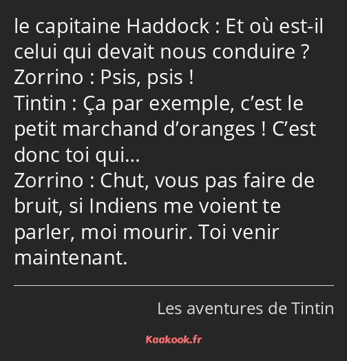 Et où est-il celui qui devait nous conduire ? Psis, psis ! Ça par exemple, c’est le petit marchand…