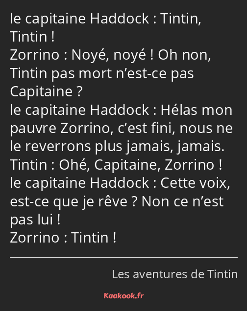 Tintin, Tintin ! Noyé, noyé ! Oh non, Tintin pas mort n’est-ce pas Capitaine ? Hélas mon pauvre…