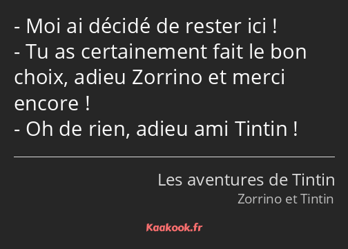 Moi ai décidé de rester ici ! Tu as certainement fait le bon choix, adieu Zorrino et merci encore…