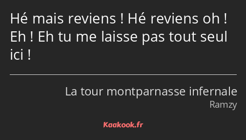 Hé mais reviens ! Hé reviens oh ! Eh ! Eh tu me laisse pas tout seul ici !