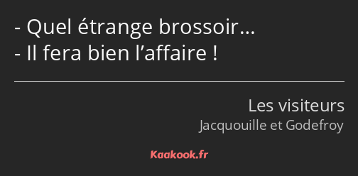 Quel étrange brossoir… Il fera bien l’affaire !