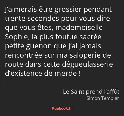 J’aimerais être grossier pendant trente secondes pour vous dire que vous êtes, mademoiselle Sophie…