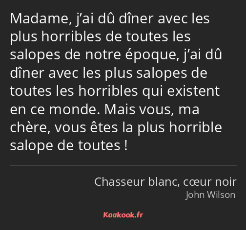 Madame, j’ai dû dîner avec les plus horribles de toutes les salopes de notre époque, j’ai dû dîner…