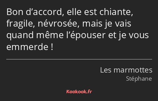 Bon d’accord, elle est chiante, fragile, névrosée, mais je vais quand même l’épouser et je vous…