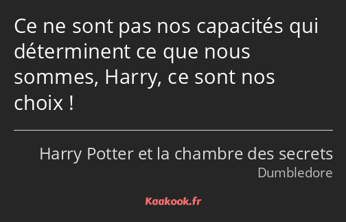 Ce ne sont pas nos capacités qui déterminent ce que nous sommes, Harry, ce sont nos choix !