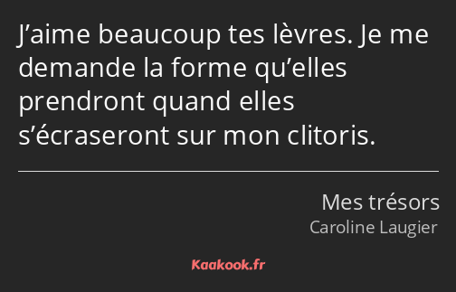 J’aime beaucoup tes lèvres. Je me demande la forme qu’elles prendront quand elles s’écraseront sur…