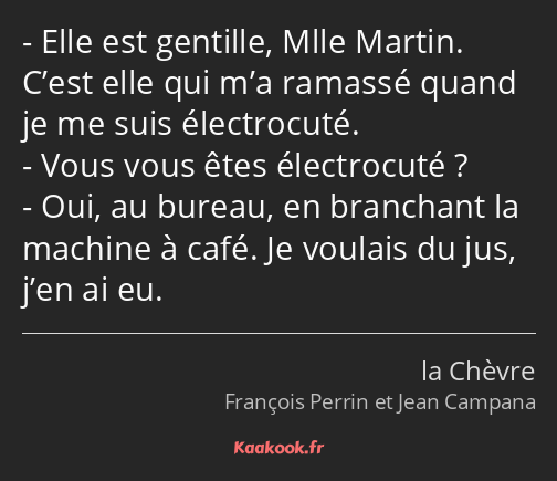 Elle est gentille, Mlle Martin. C’est elle qui m’a ramassé quand je me suis électrocuté. Vous vous…