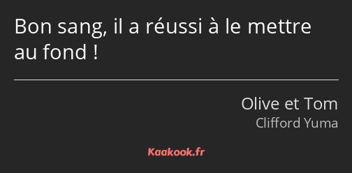 Bon sang, il a réussi à le mettre au fond !