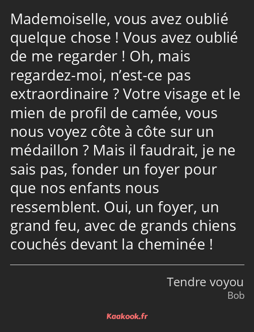 Mademoiselle, vous avez oublié quelque chose ! Vous avez oublié de me regarder ! Oh, mais regardez…