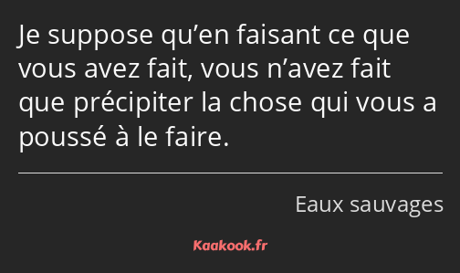 Je suppose qu’en faisant ce que vous avez fait, vous n’avez fait que précipiter la chose qui vous a…