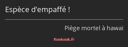 Espèce d’empaffé !