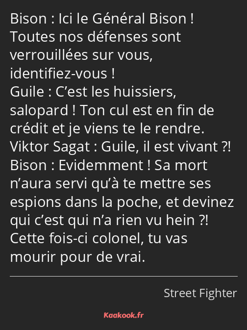Ici le Général Bison ! Toutes nos défenses sont verrouillées sur vous, identifiez-vous ! C’est les…