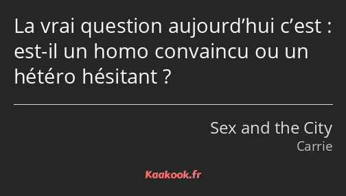 La vrai question aujourd’hui c’est : est-il un homo convaincu ou un hétéro hésitant ?