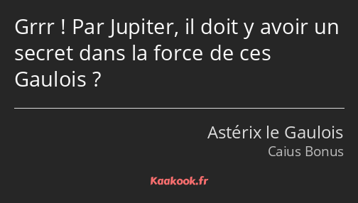 Grrr ! Par Jupiter, il doit y avoir un secret dans la force de ces Gaulois ?