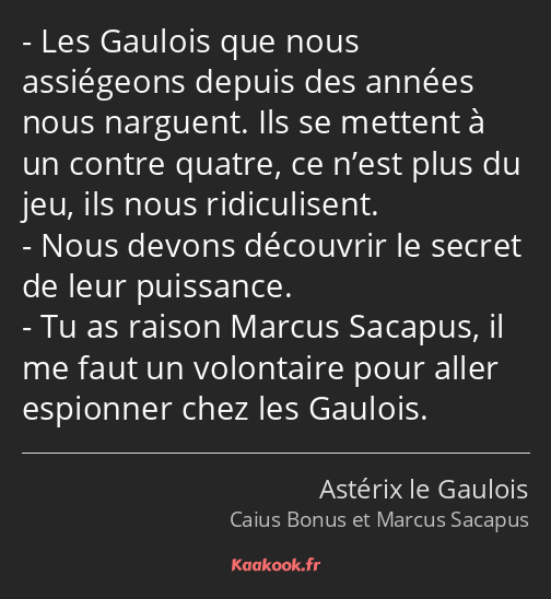 Les Gaulois que nous assiégeons depuis des années nous narguent. Ils se mettent à un contre quatre…