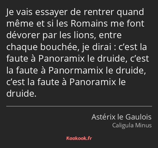 Je vais essayer de rentrer quand même et si les Romains me font dévorer par les lions, entre chaque…