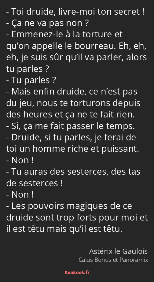 Toi druide, livre-moi ton secret ! Ça ne va pas non ? Emmenez-le à la torture et qu’on appelle le…