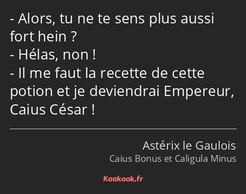 Alors, tu ne te sens plus aussi fort hein ? Hélas, non ! Il me faut la recette de cette potion et…