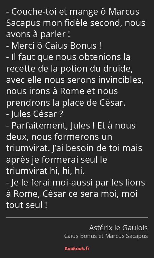 Couche-toi et mange ô Marcus Sacapus mon fidèle second, nous avons à parler ! Merci ô Caius Bonus…