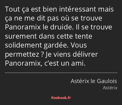 Tout ça est bien intéressant mais ça ne me dit pas où se trouve Panoramix le druide. Il se trouve…