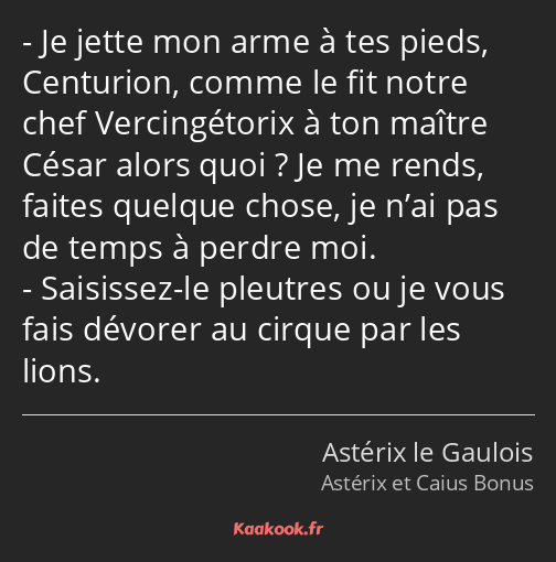 Je jette mon arme à tes pieds, Centurion, comme le fit notre chef Vercingétorix à ton maître César…