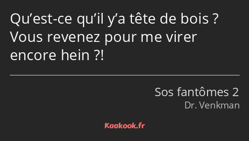 Qu’est-ce qu’il y’a tête de bois ? Vous revenez pour me virer encore hein ?!