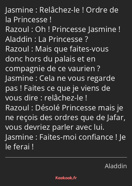 Relâchez-le ! Ordre de la Princesse ! Oh ! Princesse Jasmine ! La Princesse ? Mais que faites-vous…