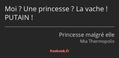 Moi ? Une princesse ? La vache ! PUTAIN !