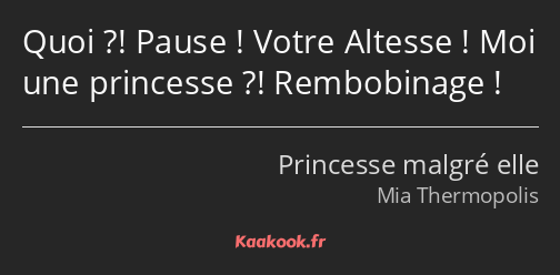 Quoi ?! Pause ! Votre Altesse ! Moi une princesse ?! Rembobinage !