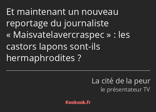 Et maintenant un nouveau reportage du journaliste Maisvatelavercraspec : les castors lapons sont…