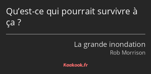 Qu’est-ce qui pourrait survivre à ça ?
