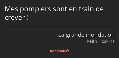 Mes pompiers sont en train de crever !